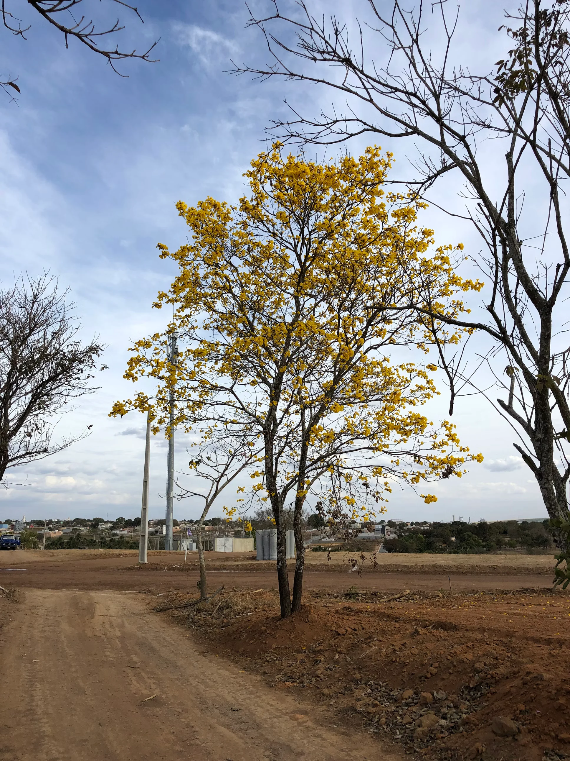 Tecnologia ambiental